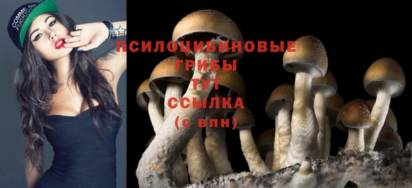 МДМА Горняк