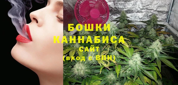 не бодяженный Гусь-Хрустальный