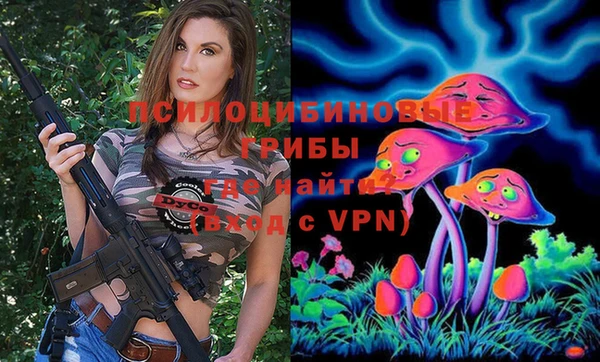 не бодяженный Гусь-Хрустальный