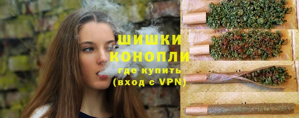 молекула духа Гусев