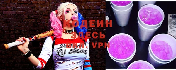 молекула духа Гусев