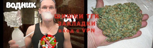 молекула духа Гусев