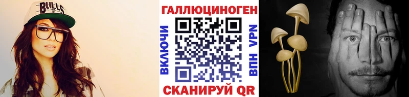 omg вход  Гусь-Хрустальный  Галлюциногенные грибы MAGIC MUSHROOMS  купить  